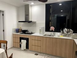 Avon Park (D13), Condominium #503432491